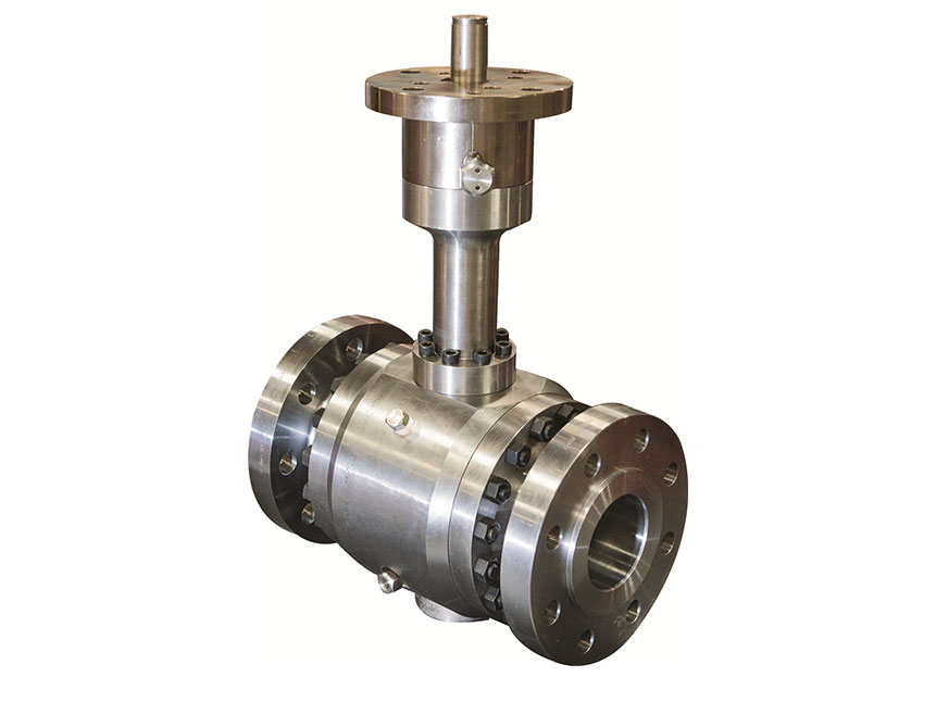 Severe Service Valve